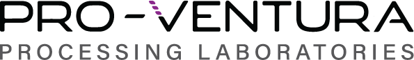 Pro-Ventura